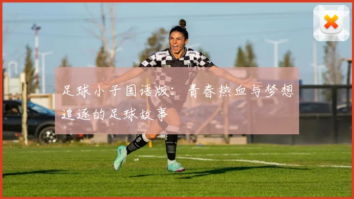 足球小子国语版：青春热血与梦想追逐的足球故事