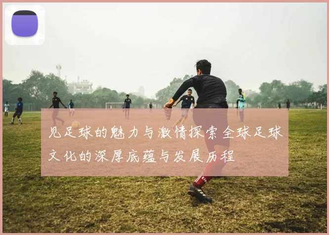 见足球的魅力与激情探索全球足球文化的深厚底蕴与发展历程